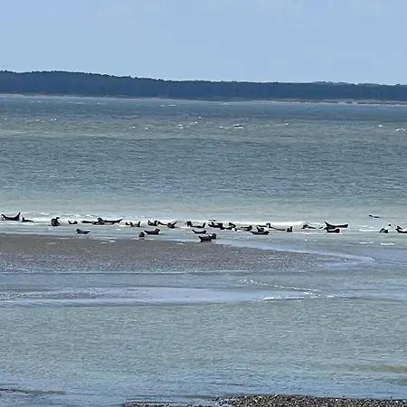 Beauregard * Mers-les-Bains